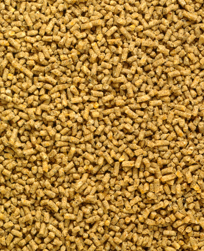 Food for Drying