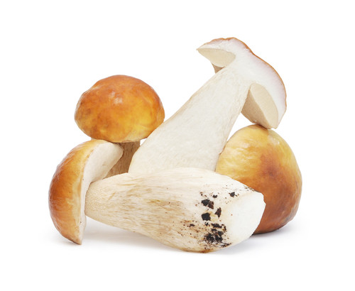 Mushrooms