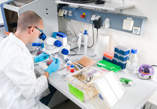 Cages de laboratoire